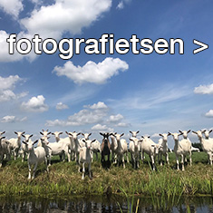 fotografietsen kees wennekendonk